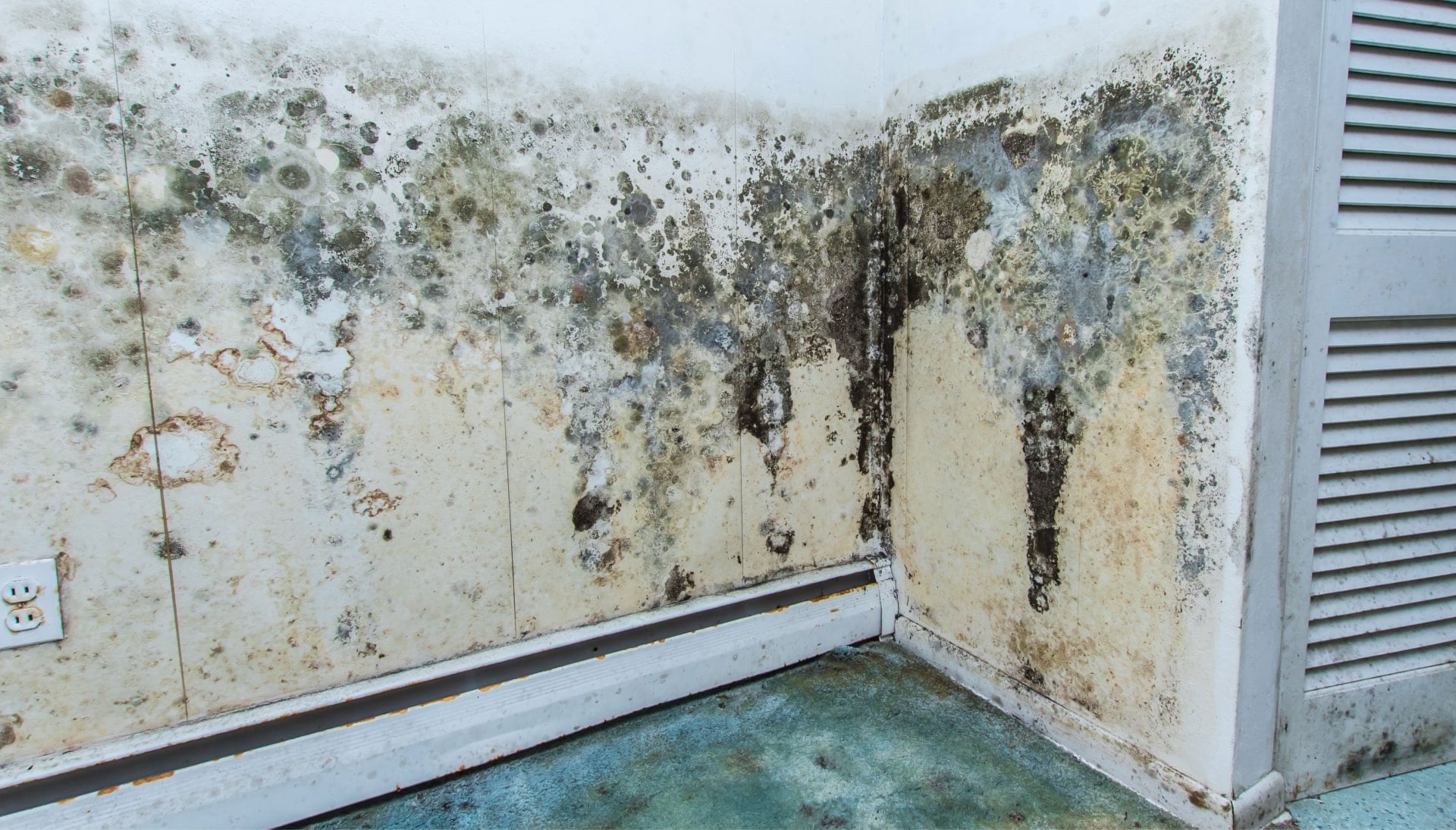Mold Damage Odor Control Services in Colorado Springs