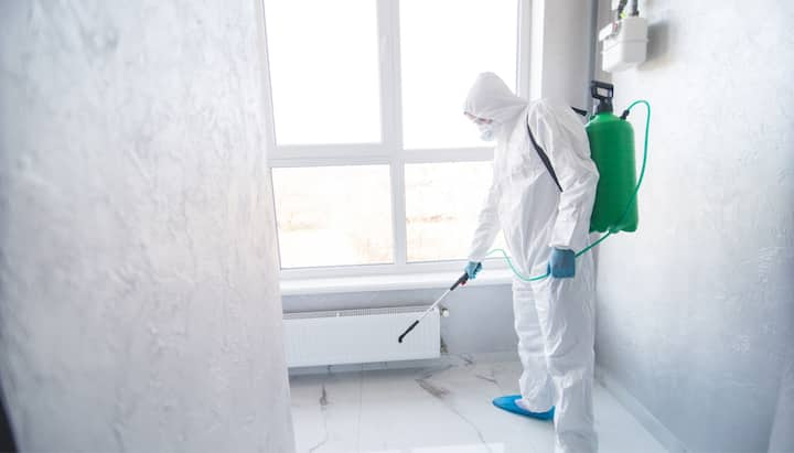 Mold Inspection Services in Colorado Springs